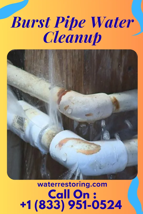 Burst Pipe Water Cleanup in Arkport, NY