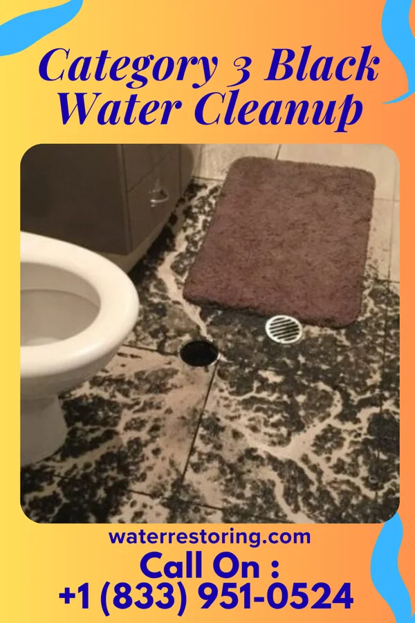 Category 3 Black Water Cleanup in Arkport, NY