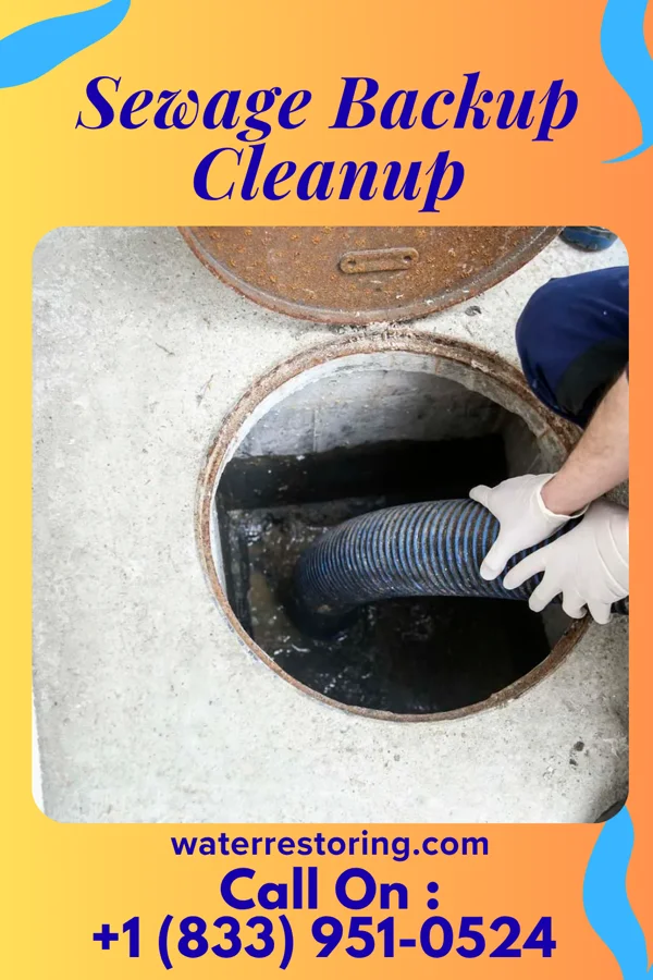 Sewage Backup Cleanup in Arkport, NY