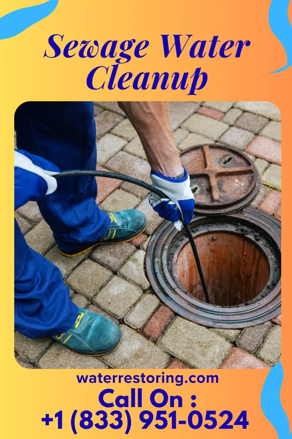 Sewage Water Cleanup in Arkport, NY